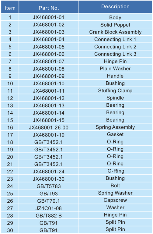 3   45 Swing Footvalve 4