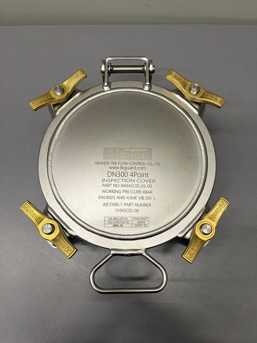 Halsring-Inspektionsbaugruppe 300 mm, 100 mm hoch