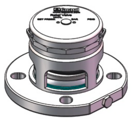 AFXXXXXXXXXX pfa lined