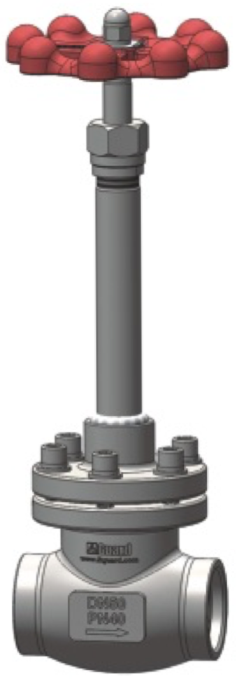 Cryogenic Globe Valve