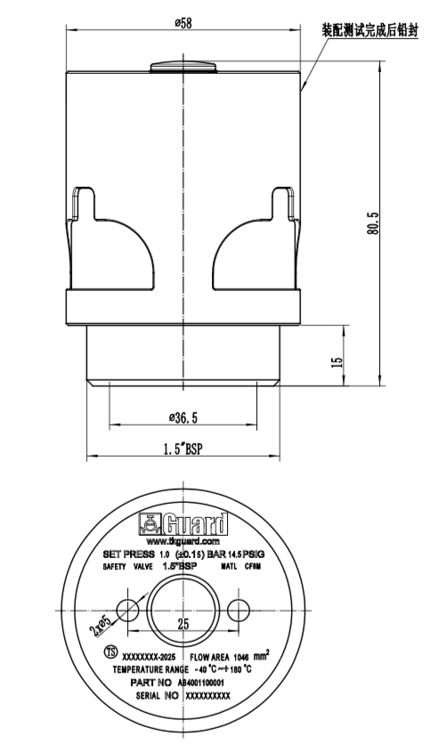 Prussure Relief Valve 1.0 Bar